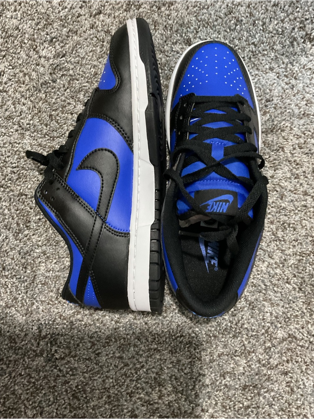 Nike Dunk Low “Racer Blue” (also sometimes called Black/Racer Blue Dunks).
